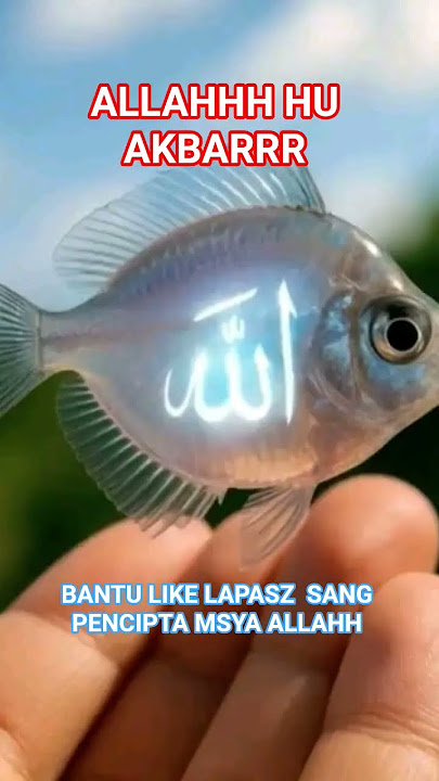 LAPAZ ALLAH SANG PENCIPTA ALAM SEMETA ❤❤❤ #islamicshorts #allah #hijrah #pengajian #allahuakbar #fyp