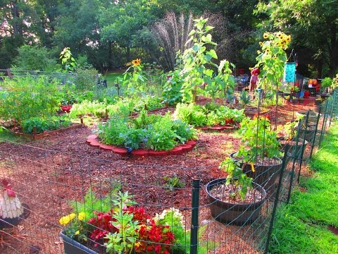 1st Summer Garden Tour & Taste Testing