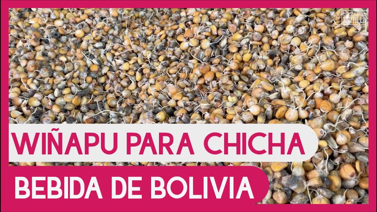 Wiñapu para la chicha, bebida tradicional de Bolivia