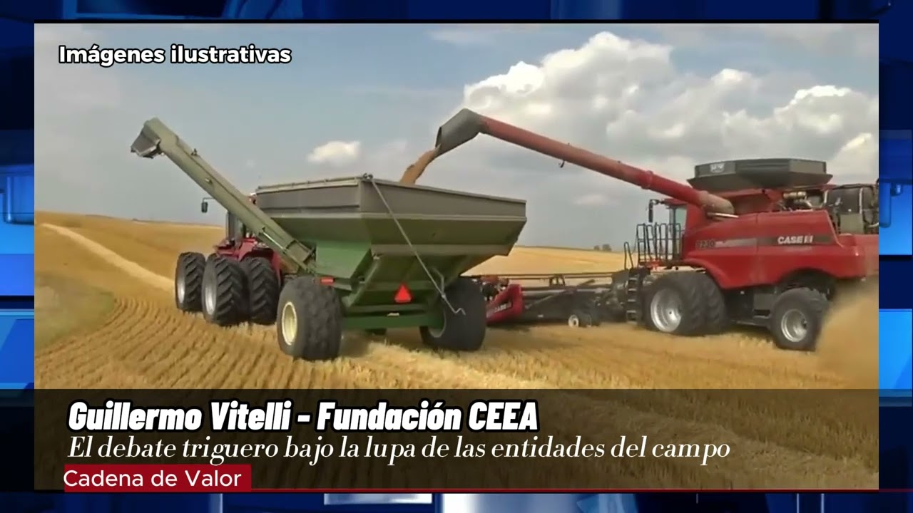 “Creo que se sobrevaloraron las reglas que impuso el Gobierno”