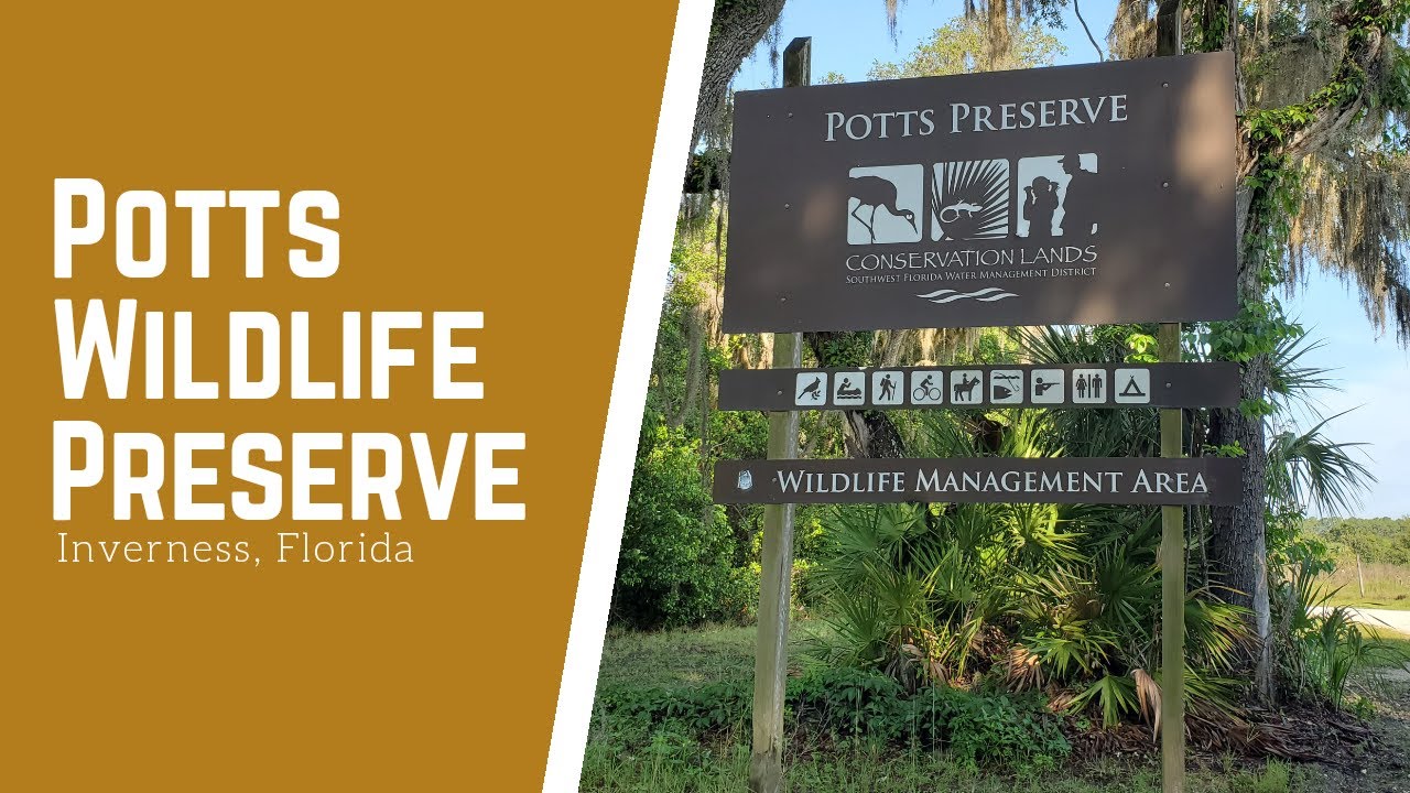 Potts Preserve Inverness, Florida YouTube