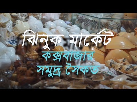 ভিডিও: কীভাবে ঝিনুক ভাজা যায়