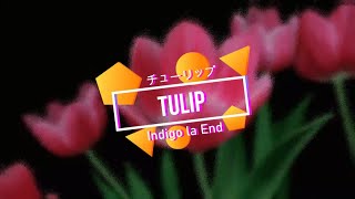 Video voorbeeld van "Indigo la End - Tulip (チューリップ) - Eng Sub"