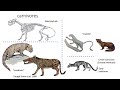 Triton Talks: How Extinct Cats Help Explain the World