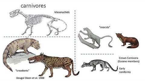 Triton Talks: How Extinct Cats Help Explain the World