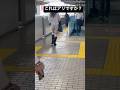 下着じゃないですか?
