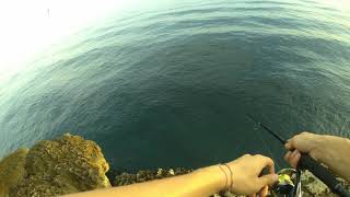 Fishing in Sorrento Coast