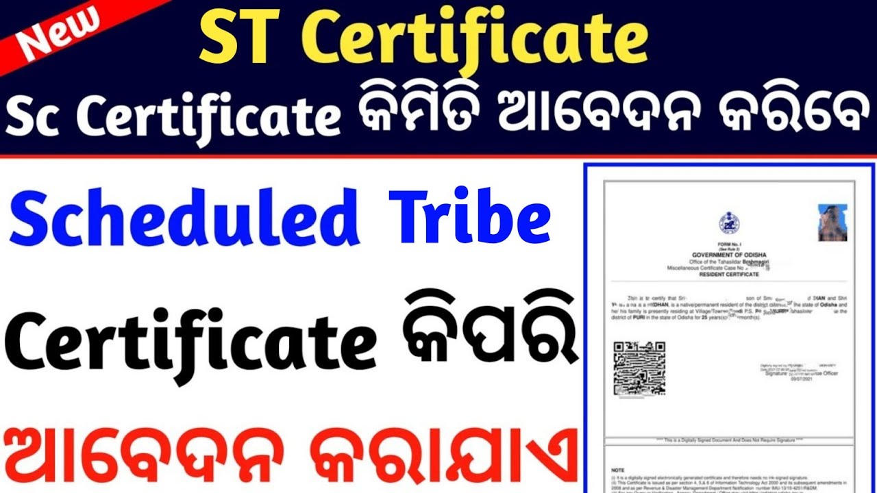 How To Apply ST Caste Certificate In Odisha St Caste Certificate how-to-apply-st-caste-certificate-in-odisha-st-caste-certificate