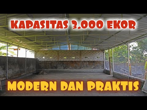 DESAIN MODERN KANDANG AYAM KAMPUNG TIPE POSTAL || PART 1