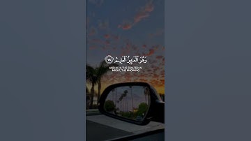 إن ربك يقضي بينهم بحكمه و هو العزيز العليم فتوكل على الله || القارئ: هزاع البلوشي
