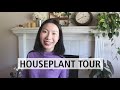 How Much Should You Pay? May 2020 Houseplant Tour And Their Fair Market Price