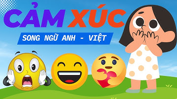 Dạy Bé Học Tiếng Anh Cảm Xúc | Feelings | MT English Kids