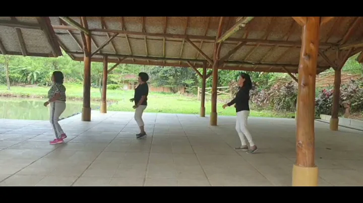 Paying For It Line Dance| Choreo By Lisa M. Johns-...