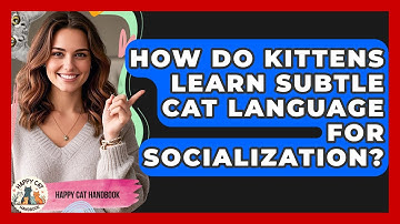 How Do Kittens Learn Subtle Cat Language For Socialization? - Happy Cat Handbook