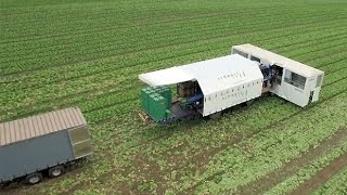 Die Gemüsemacher 2016 - Die Fabrik auf dem Feld