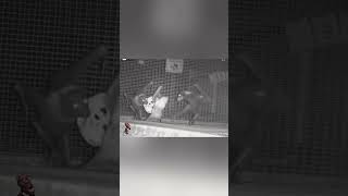 No Bad Bats On The Batch