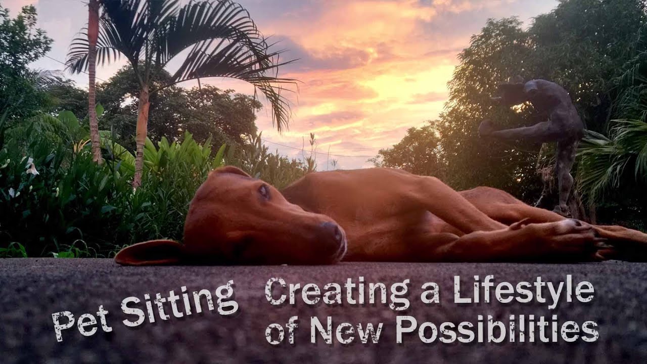 Pet Sitting, Creating a Lifestyle of New Possibilities
