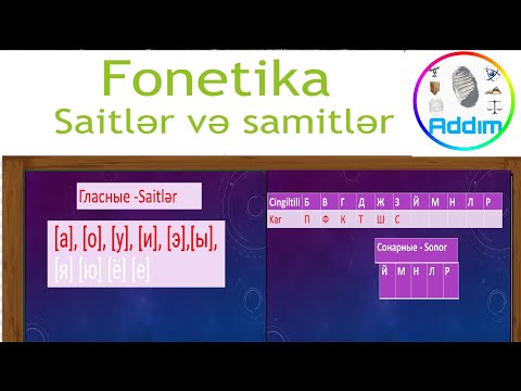 Sıfırdan Rus Dili |Dərs 1. Fonetika - Saitlər və Samitlər.