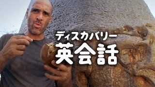 「貴重なカロリー源」役立ち度 ★★★☆☆ | ディスカバリー英会話 (ディスカバリーチャンネル)