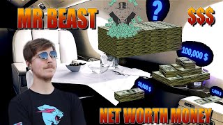MR. BEAST's Net Worth Money Comparsion in 3D | Blender 2.92 |