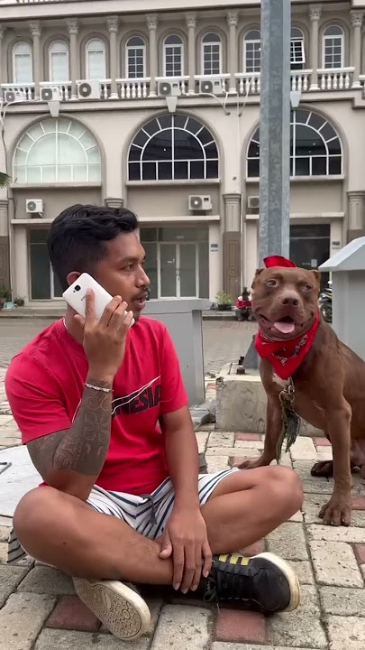 MUSSO FOR SALE 500 million