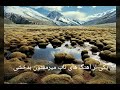 میرمفتون یارکم قد بلند قلاچ قلاچ موی داره 
