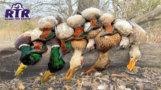 High Wind Kansas Farm Pond - Duck Hunting 2021