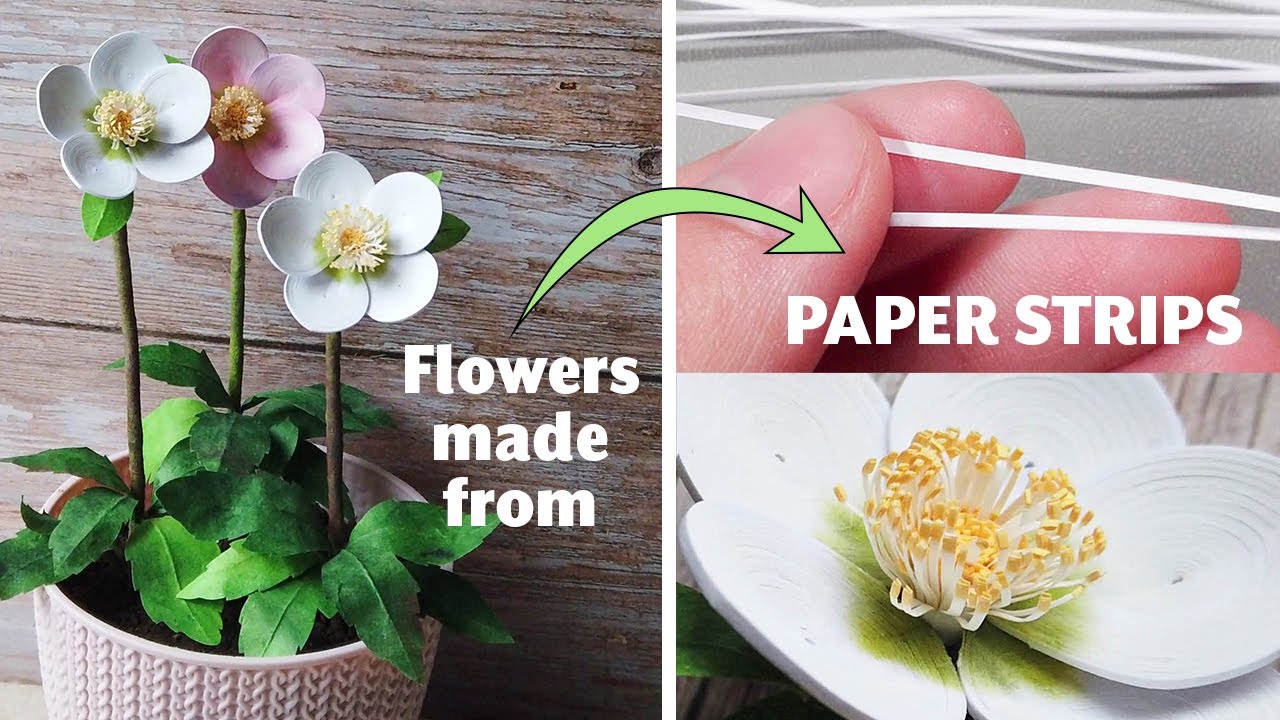 How I started working with 1 mm paper strips - Paper Quilling Flowers