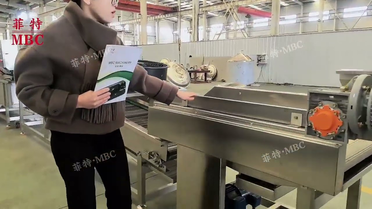 MBC OEM Professional Customized potato processing machine Vegetable fruits production line