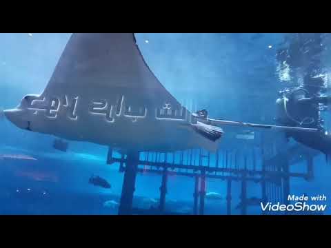 Dubai Aquarium