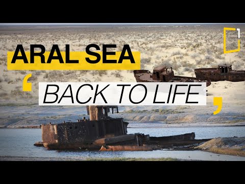 Video: About The Change In The Water Level And Its Solidification In The Territory Of The Aral Sea Before The Beginning Of Its Drying Out - Alternative View