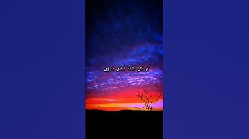 سورة القيامة بصوت طارق محمد ♥️#القرآن الكريم #سورة القيامة