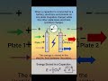 use# of capacitors #physics in circuit store charges
