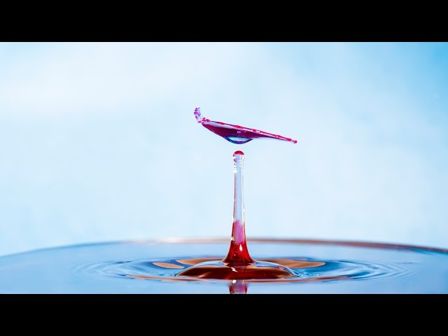 Water Drop Photography Tutorial: Complete Guide for Beginners