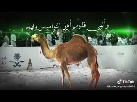 مصيحة أصالة نصري وصالح مانع