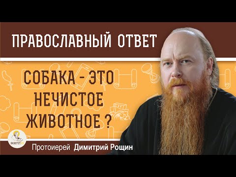 СОБАКА - ЭТО НЕЧИСТОЕ ЖИВОТНОЕ ?  Протоиерей Дмитрий Рощин