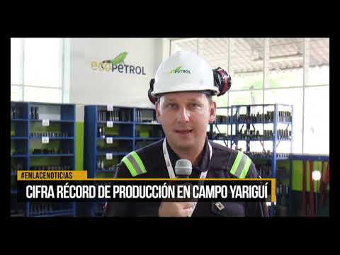 Cifra récord de producción en campo Yariguí