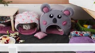 Meerschweinchen Time-Lapse Anni-Sophie