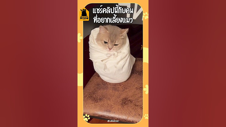 แชร์คลิปนี้กับคนที่อยากเลี้ยงแมว #แมว #ทาสแมว #เลี้ยงแมว #meowbarn #เหมียวบาน
