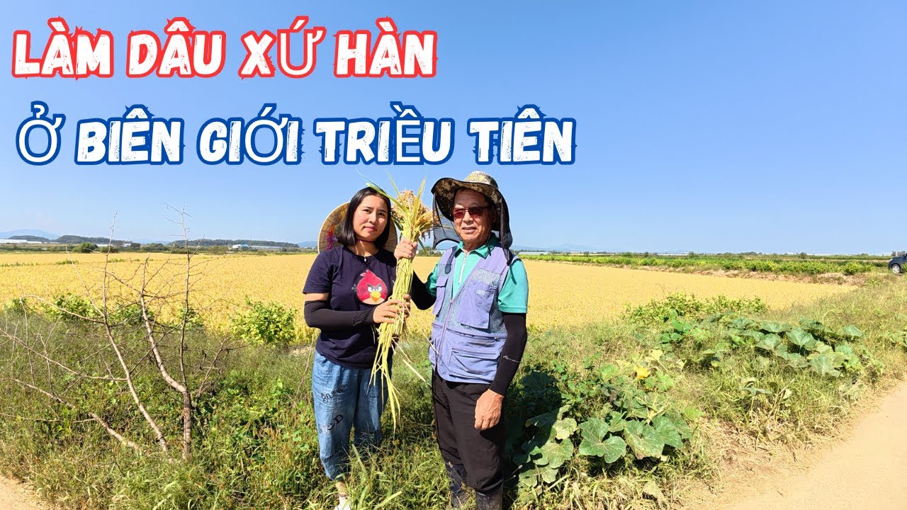 Жизнь вьетнамской жены и корейского мужа недалеко от границы с Северной Кореей