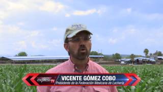 Panorama De La Industria Lechera En México