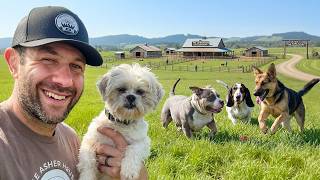 Nobody Wanted These Dogs Because Of Their Health