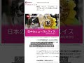 移民が少なくても日本の豊かさが続く理由は？｜スイスのメディアが報じた日本のニュース【4/15号】【毎週更新】