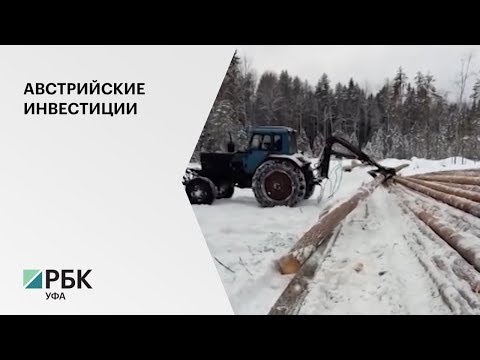 В числе потенциальных крупных инвесторов Башкортостана на 2020 г. – четыре австрийские компании