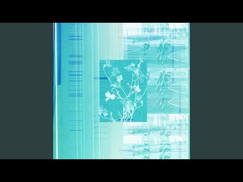 Sleduj Mercury String na YouTube