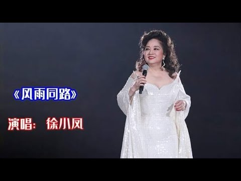 怀旧金曲：徐小凤《风雨同路》87金光灿烂演唱会现场版