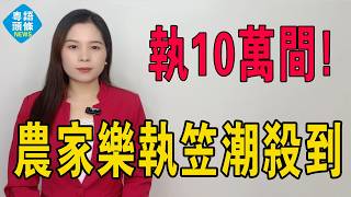 5年執10萬間！農家樂執笠潮殺到！曾經排隊排到出馬路而家連影都冇。老闆將家庭作坊做大卻失去初心：山寨風格千篇一律、麻將釣魚燒雞翼悶到抽筋、再唔變連底褲都冇埋！#農家樂 #餐飲 #實體店 #倒閉潮