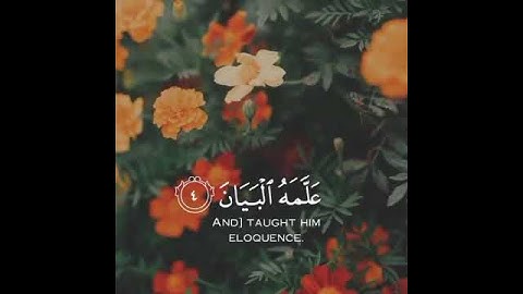 حالات واتس اب دينية  ماتيسر من سورة الرحمن 💙ارح قلبك وسمعك