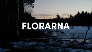 Stumbling in melting snow in Florarna with Tamaskan Dog by Emil Sahlén 63 views 1 month ago 9 minutes, 37 seconds