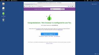 Information 11  Using The TOR Browser on Tails Guide